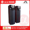 Speaker Active Roadmaster Monster 212 (Bluetooth)